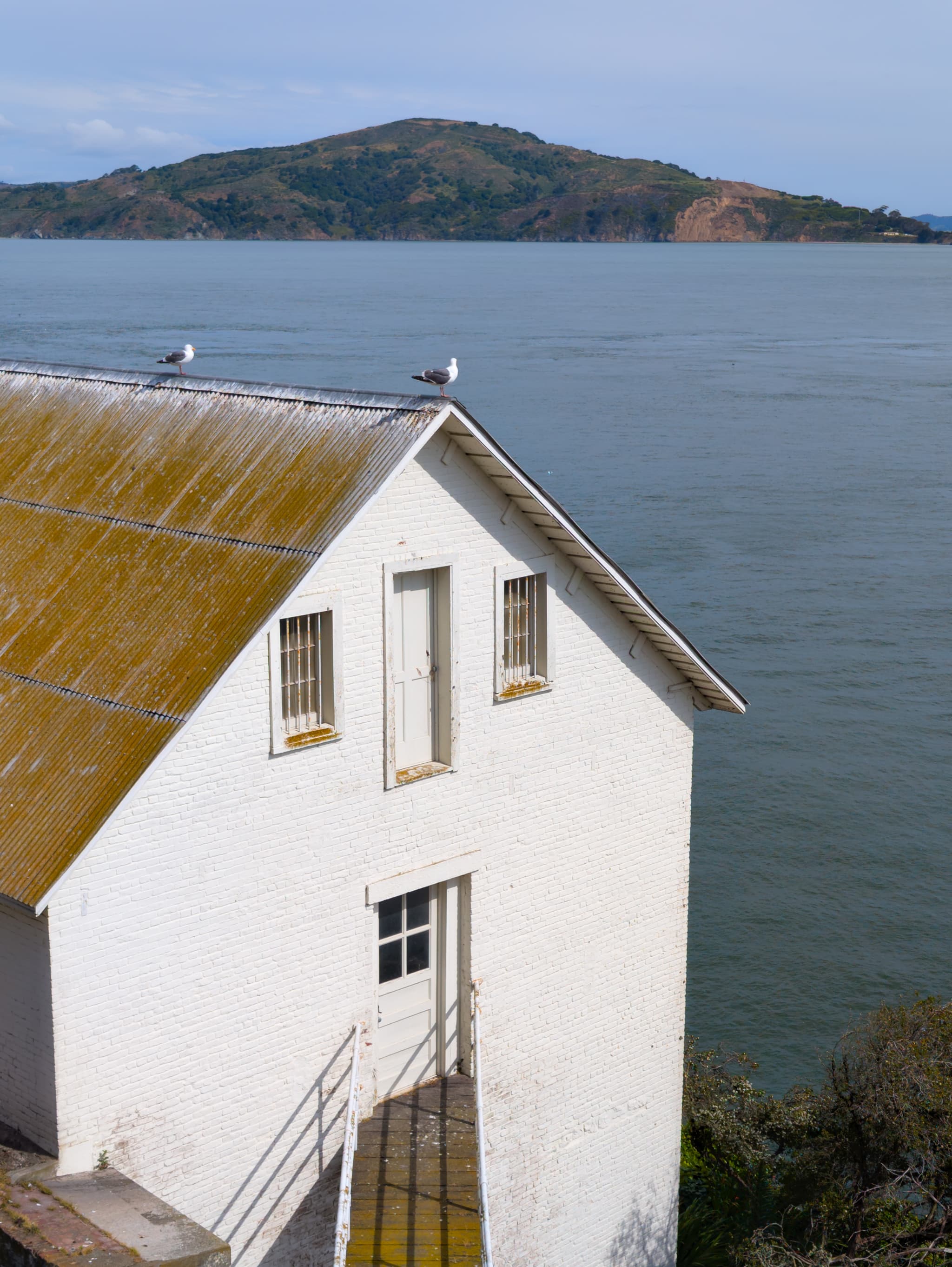 Alcatraz chillin'